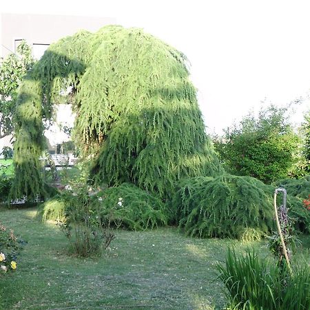 Apartments Ribic Umag Room photo
