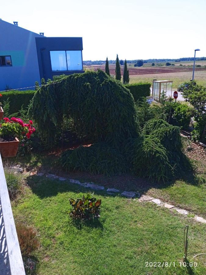 Apartments Ribic Umag Exterior photo