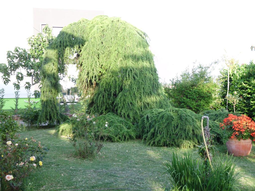 Apartments Ribic Umag Room photo
